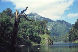 0216 NP Huerquhue.jpg